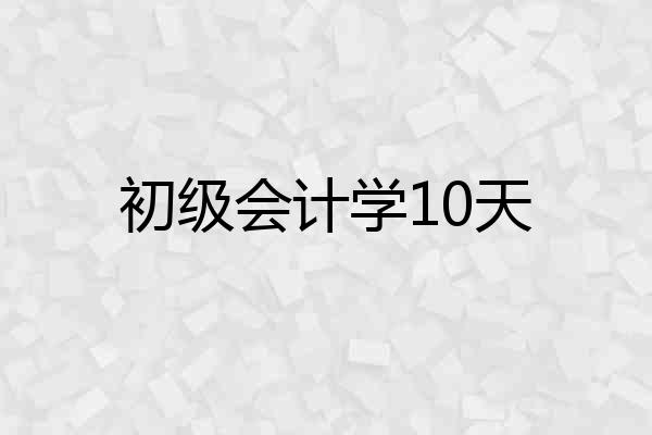 初级会计学10天