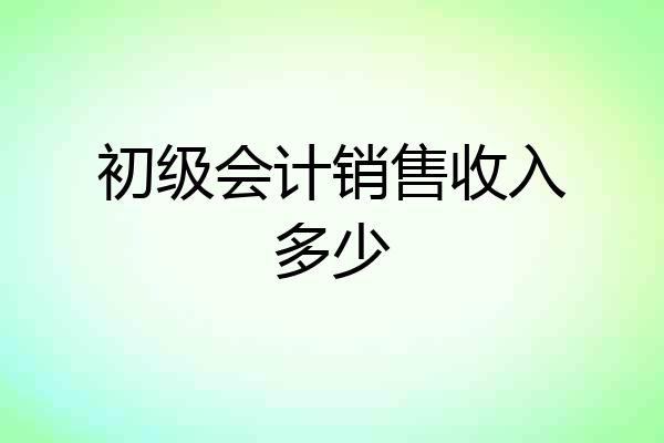 初级会计销售收入多少