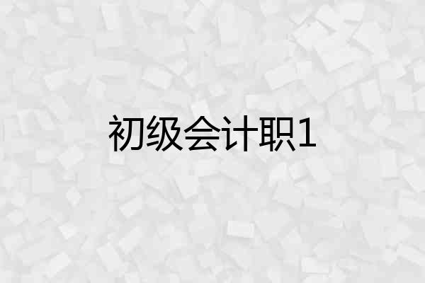 初级会计职1