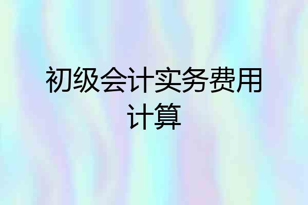 初级会计实务费用计算
