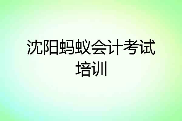 沈阳蚂蚁会计考试培训