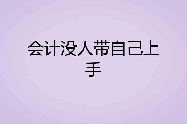 会计没人带自己上手