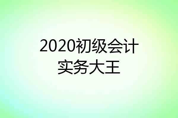 2020初级会计实务大王