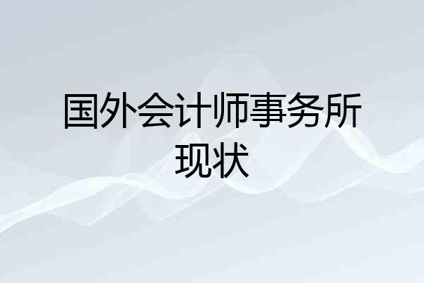 国外会计师事务所现状