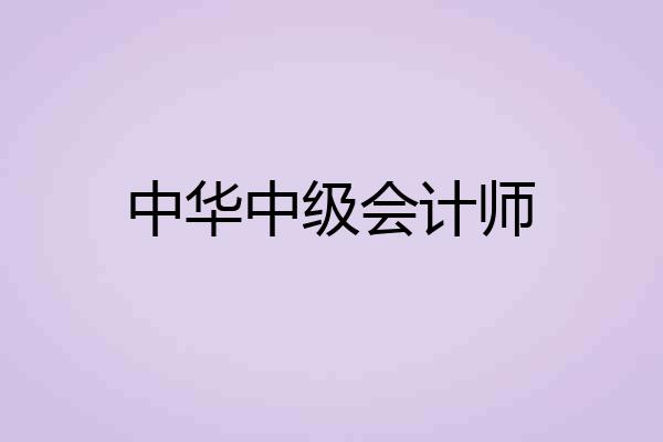 中华中级会计师
