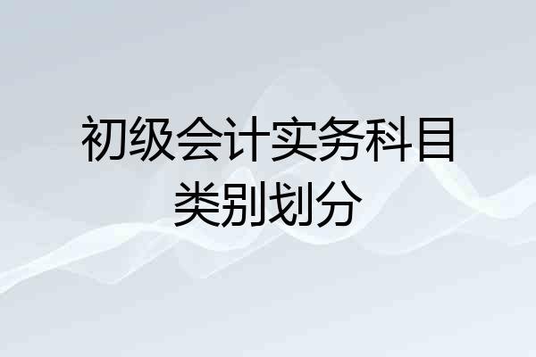 初级会计实务科目类别划分