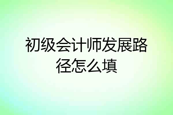 初级会计师发展路径怎么填