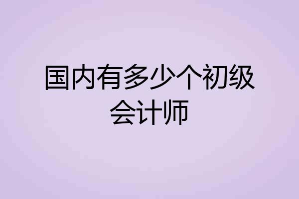 国内有多少个初级会计师