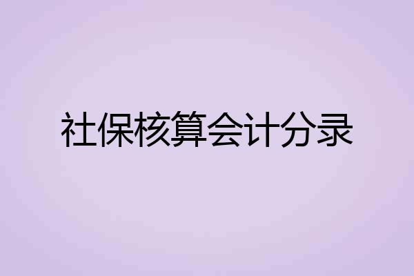 社保核算会计分录
