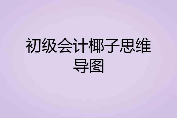 初级会计椰子思维导图