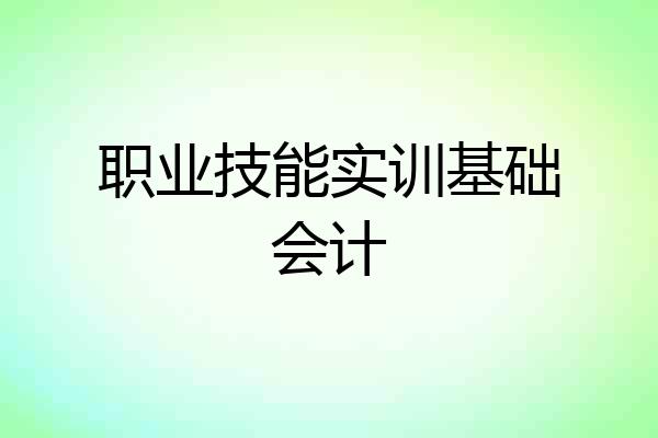 职业技能实训基础会计