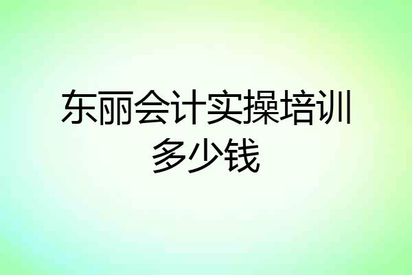 东丽会计实操培训多少钱