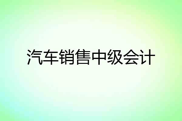 汽车销售中级会计