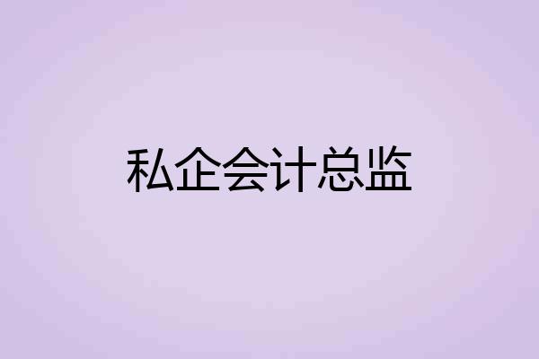 私企会计总监