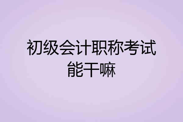 初级会计职称考试能干嘛