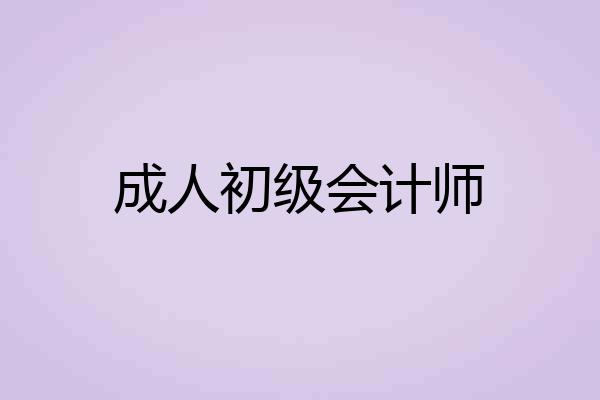 成人初级会计师