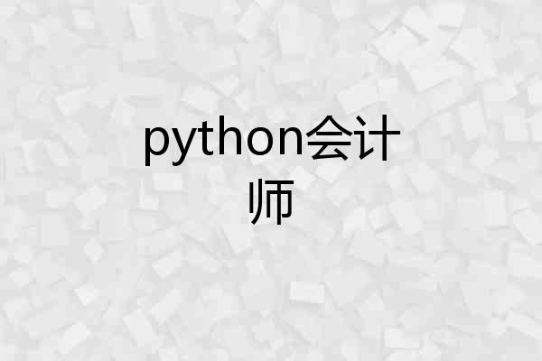 python会计师