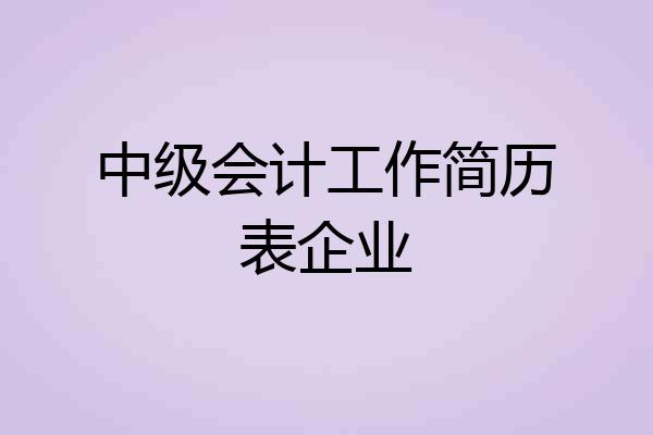 中级会计工作简历表企业