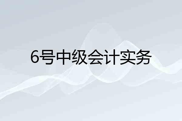 6号中级会计实务