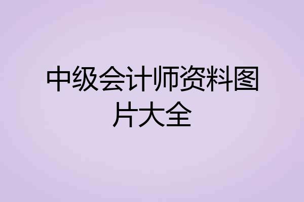 中级会计师资料图片大全