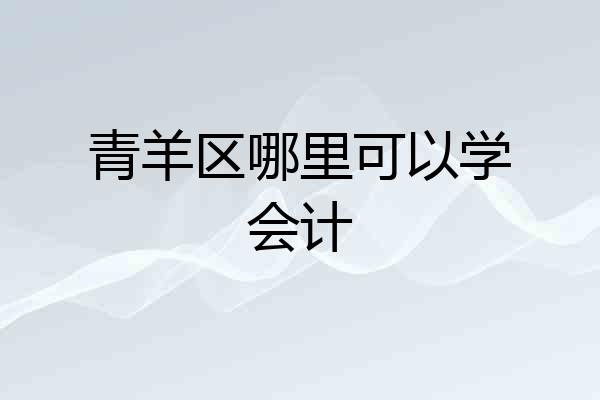 青羊区哪里可以学会计