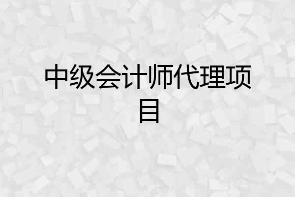 中级会计师代理项目