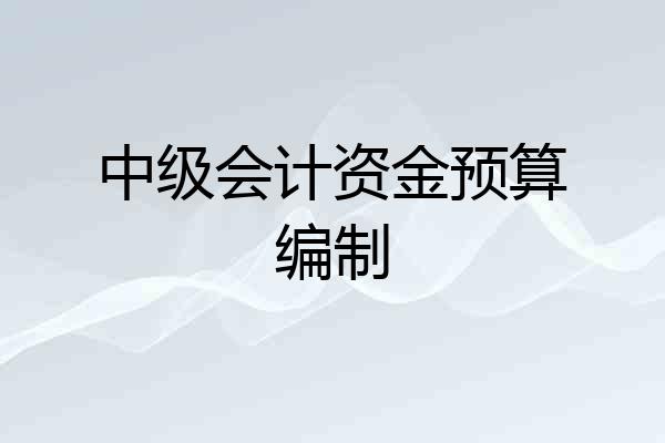 中级会计资金预算编制