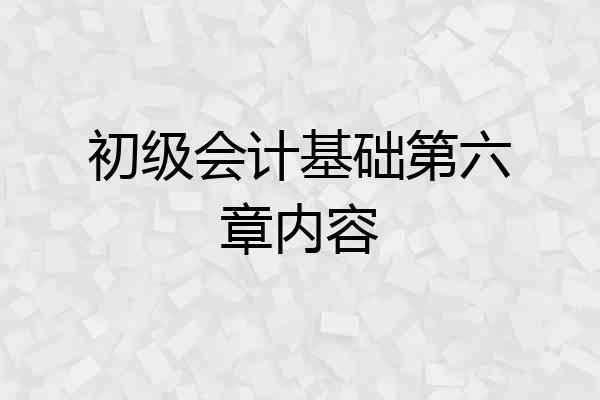 初级会计基础第六章内容