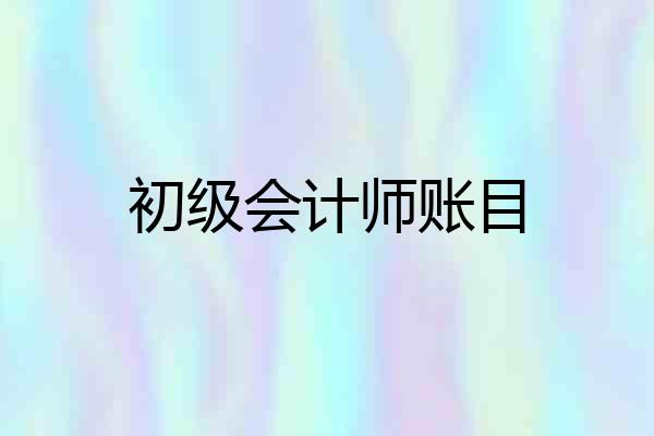 初级会计师账目