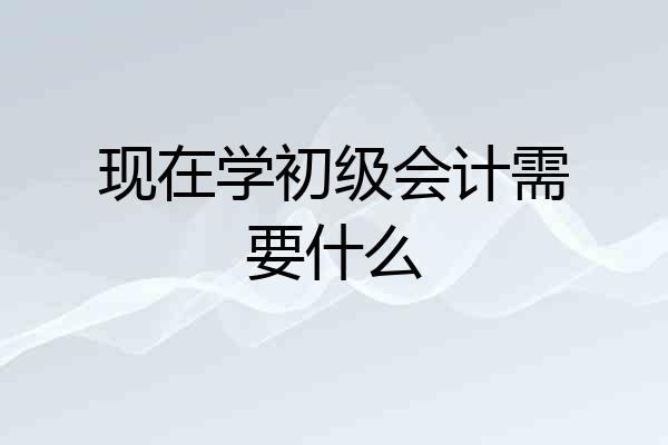 现在学初级会计需要什么