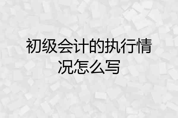 初级会计的执行情况怎么写