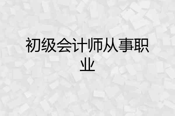 初级会计师从事职业