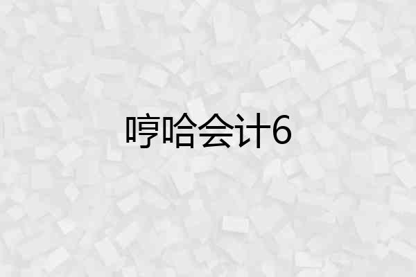 哼哈会计6