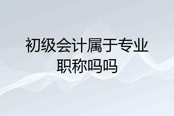 初级会计属于专业职称吗吗