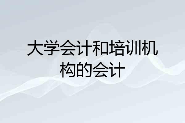 大学会计和培训机构的会计