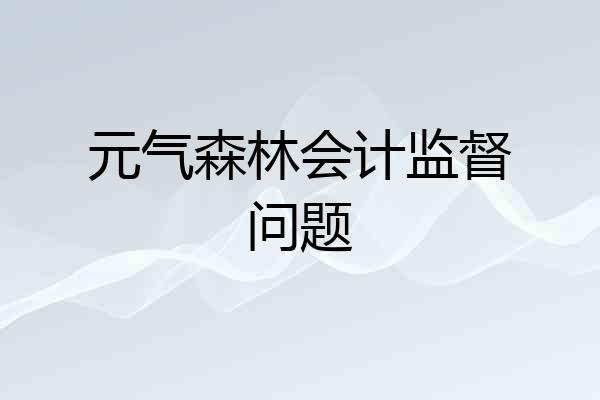 元气森林会计监督问题
