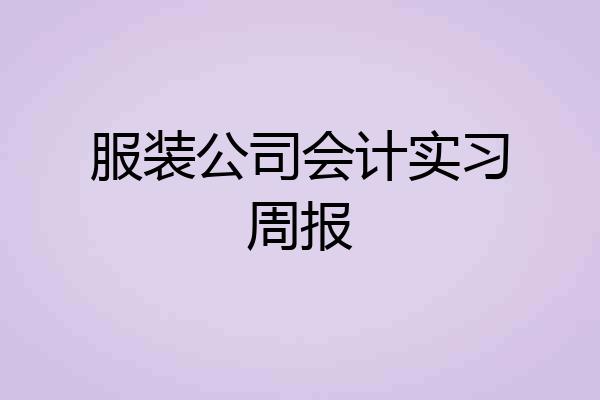 服装公司会计实习周报