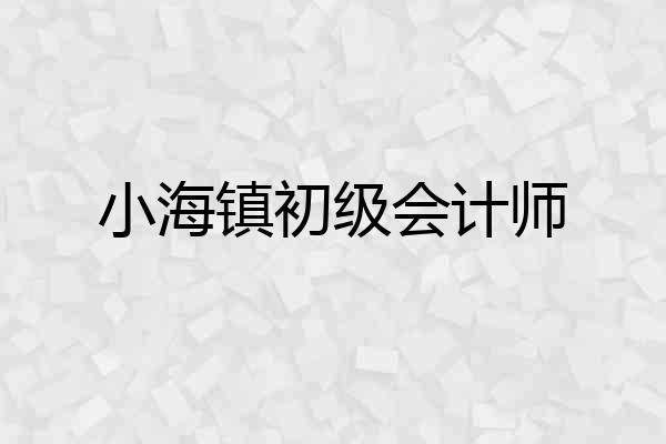 小海镇初级会计师
