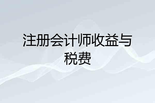 注册会计师收益与税费