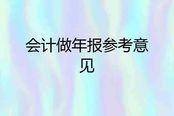 会计做年报参考意见