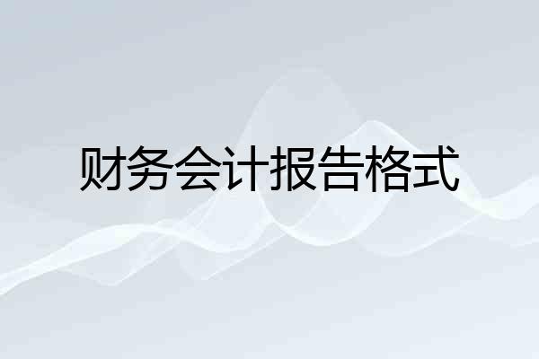 财务会计报告格式