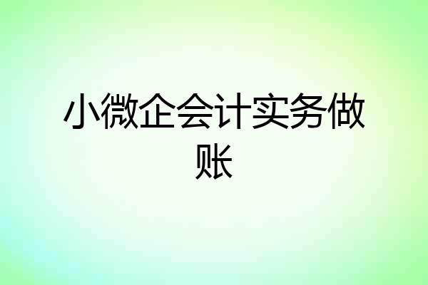 小微企会计实务做账