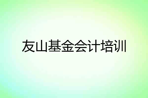 友山基金会计培训