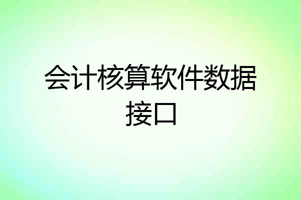 会计核算软件数据接口