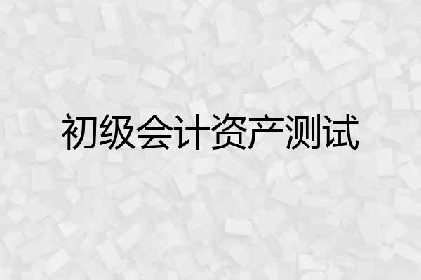 初级会计资产测试