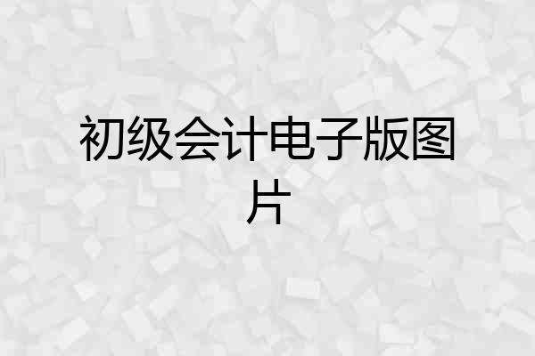 初级会计电子版图片