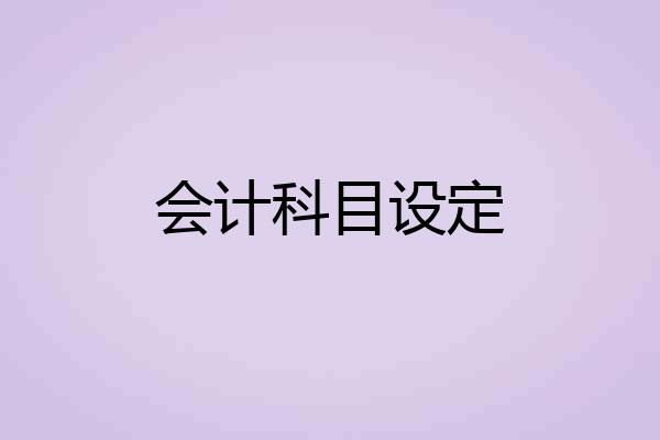 会计科目设定