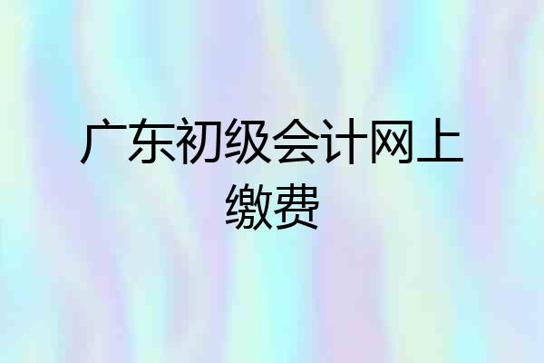 广东初级会计网上缴费