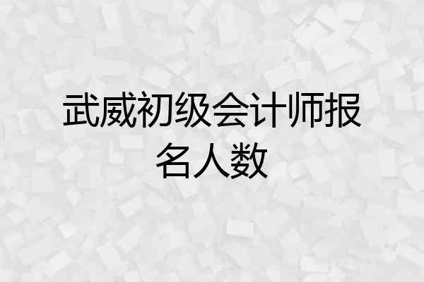 武威初级会计师报名人数