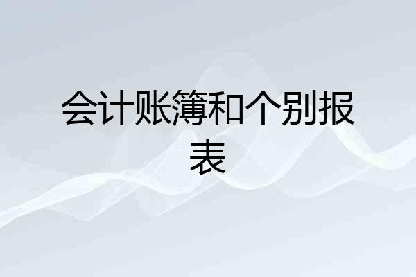 会计账簿和个别报表